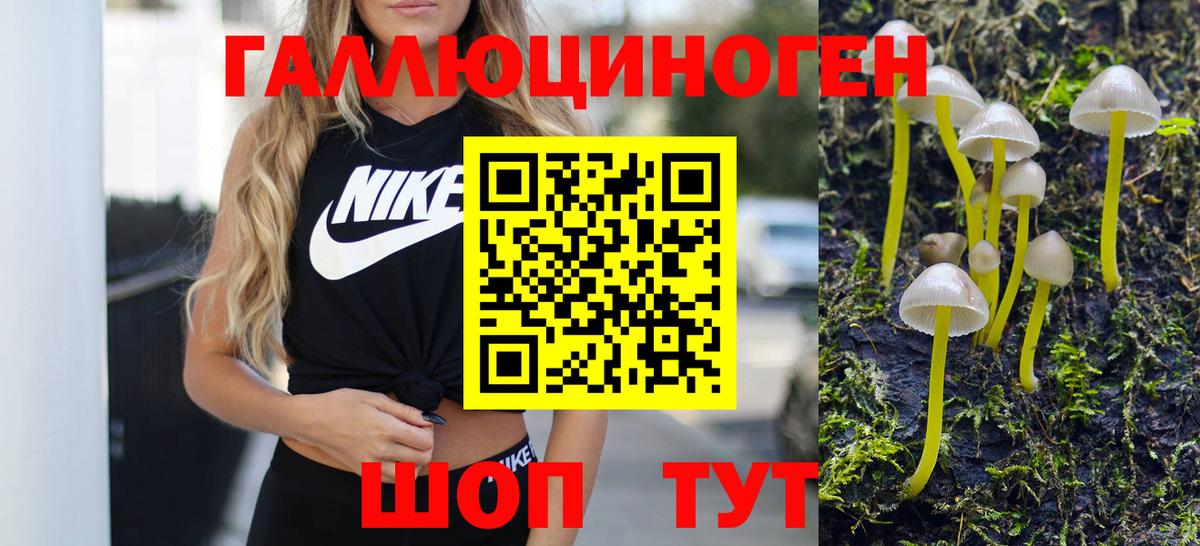 Галлюциногенные грибы мицелий  Вход с VPN  Димитровград 