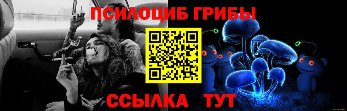 Галлюциногенные грибы прущие грибы Димитровград