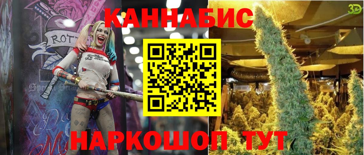 Бошки Шишки Amnesia Димитровград